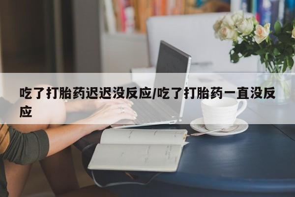 网上米索前列醇在线购买，吃了打胎药迟迟没反应/吃了打胎药一直没反应