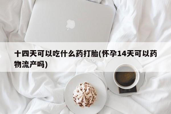 网上米索前列醇在线购买，十四天可以吃什么药打胎(怀孕14天可以药物流产吗)